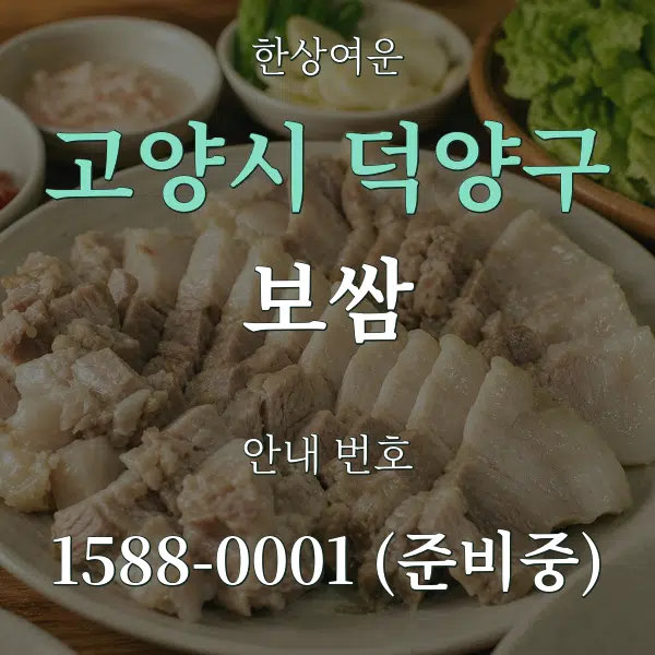 고양시 덕양구 보쌈 대표 안내 그래픽