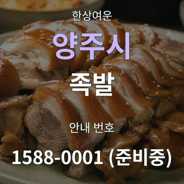 양주시 족발 대표 안내 그래픽