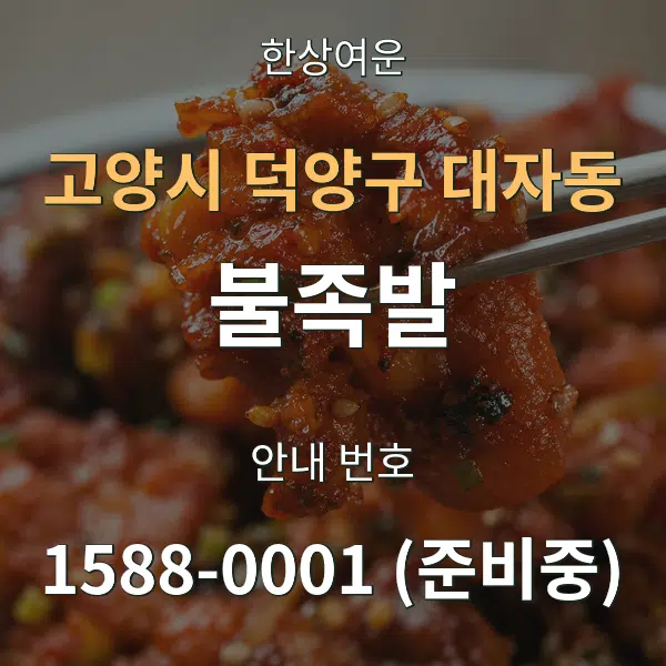 고양시 덕양구 대자동 불족발 대표 안내 그래픽