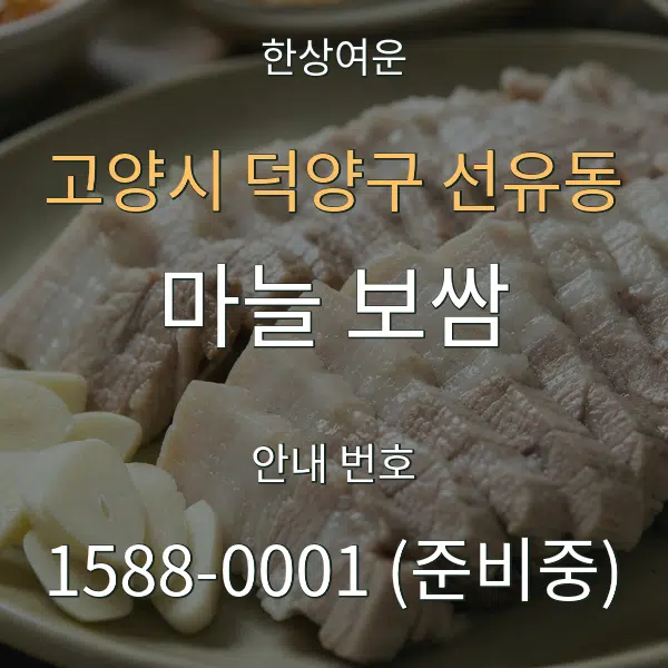 고양시 덕양구 선유동 마늘 보쌈 대표 안내 그래픽