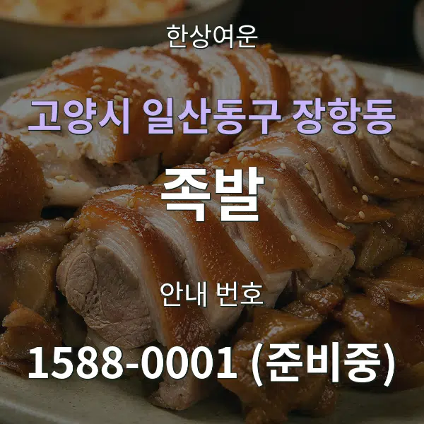 고양시 일산동구 장항동 족발 대표 안내 그래픽