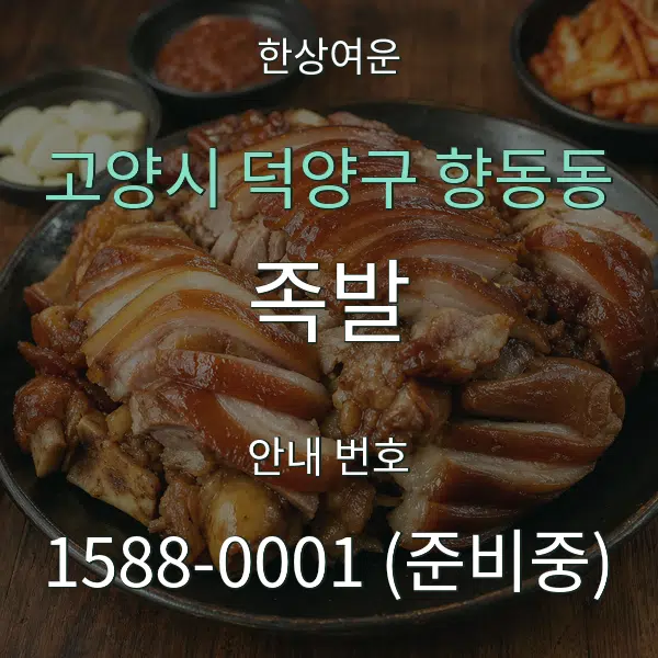 고양시 덕양구 향동동 족발 대표 안내 그래픽