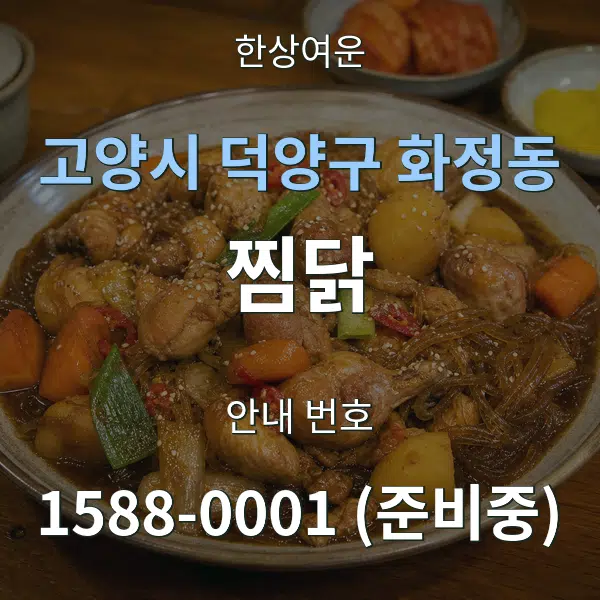 고양시 덕양구 화정동 찜닭 대표 안내 그래픽