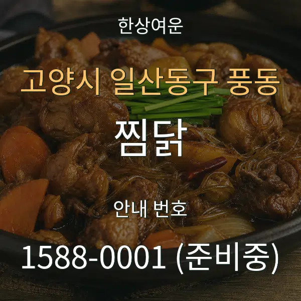 고양시 일산동구 풍동 찜닭 대표 안내 그래픽