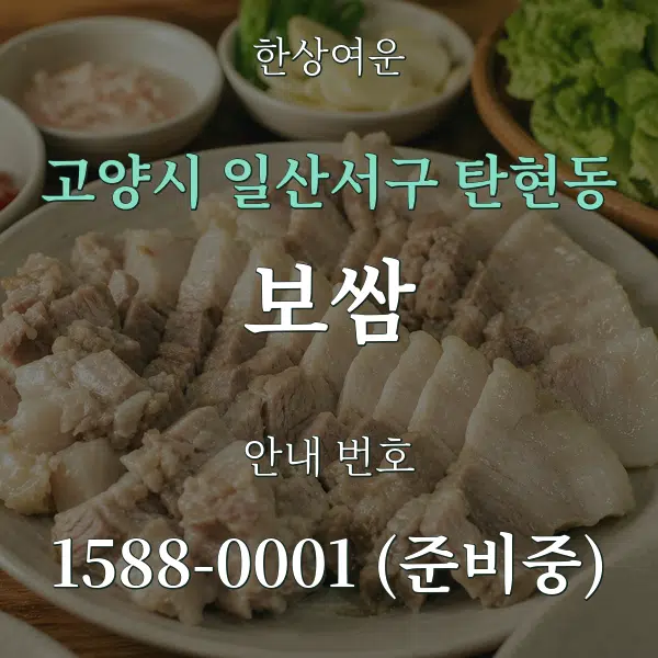 고양시 일산서구 탄현동 보쌈 대표 안내 그래픽