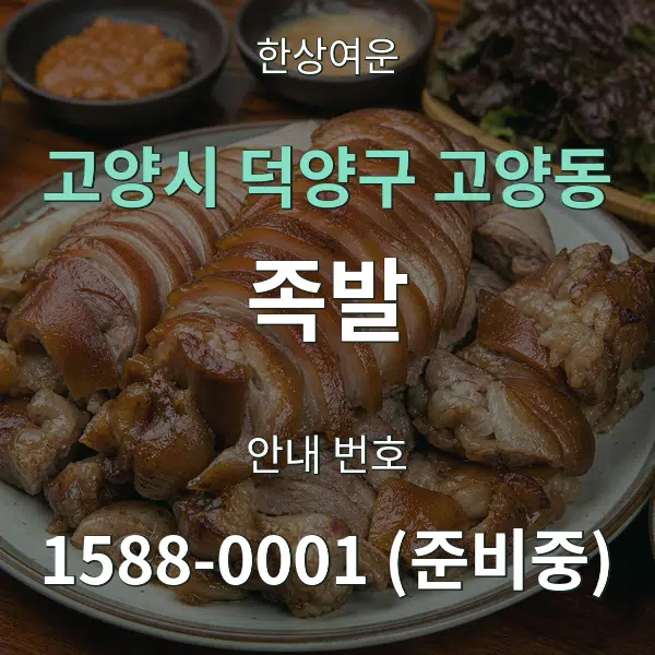 고양시 덕양구 고양동 족발 대표 안내 그래픽