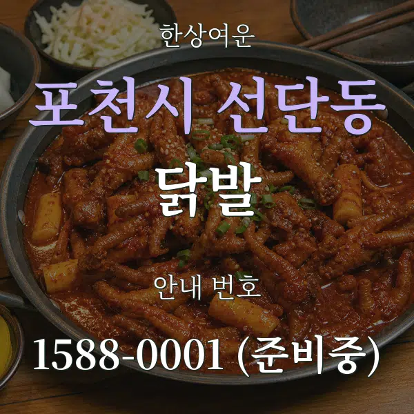 포천시 선단동 닭발 대표 안내 그래픽