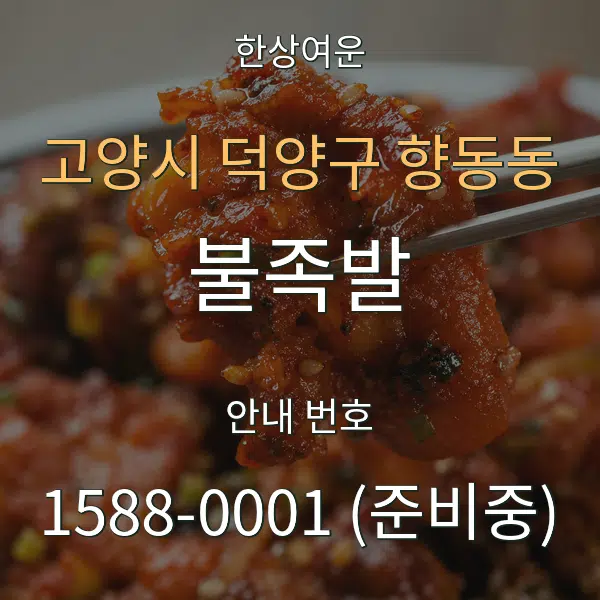 고양시 덕양구 향동동 불족발 대표 안내 그래픽