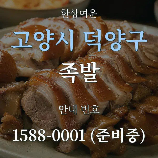 고양시 덕양구 족발 대표 안내 그래픽
