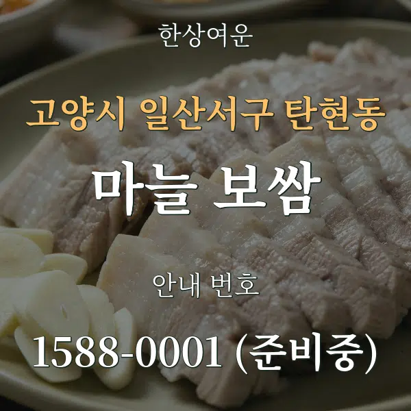 고양시 일산서구 탄현동 마늘 보쌈 대표 안내 그래픽