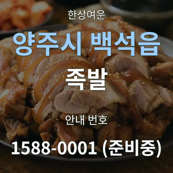 양주시 백석읍 족발 대표 안내 그래픽