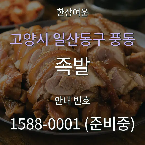 고양시 일산동구 풍동 족발 대표 안내 그래픽