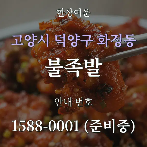 고양시 덕양구 화정동 불족발 대표 안내 그래픽