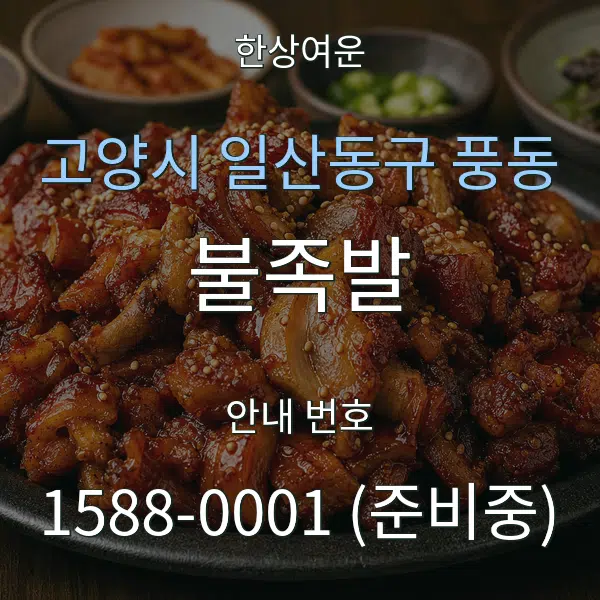 고양시 일산동구 풍동 불족발 대표 안내 그래픽