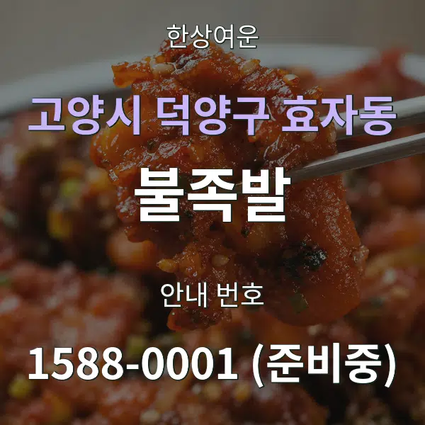 고양시 덕양구 효자동 불족발 대표 안내 그래픽