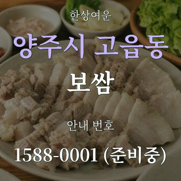 양주시 고읍동 보쌈 대표 안내 그래픽