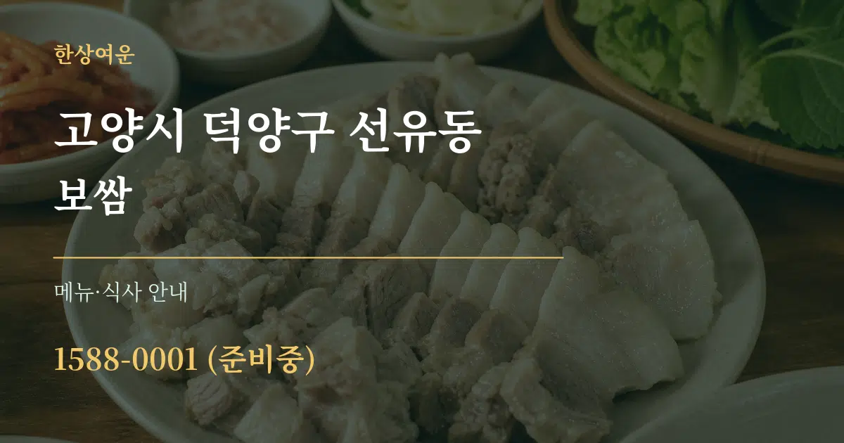 고양시 덕양구 선유동 보쌈 대표 안내 그래픽