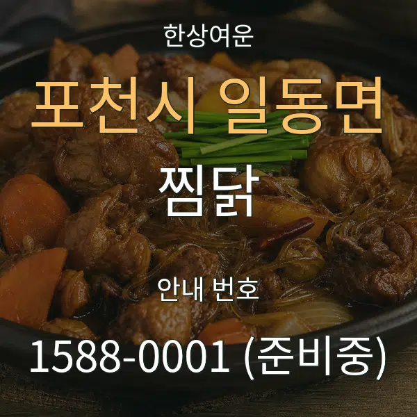 포천시 일동면 찜닭 대표 안내 그래픽