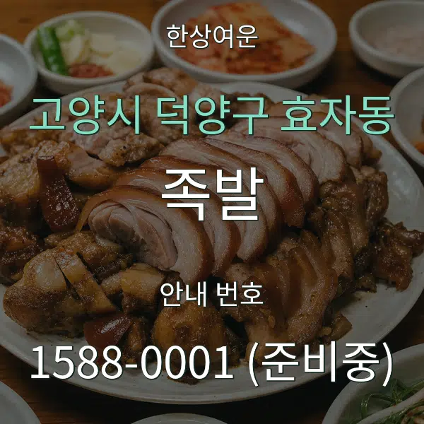 고양시 덕양구 효자동 족발 대표 안내 그래픽