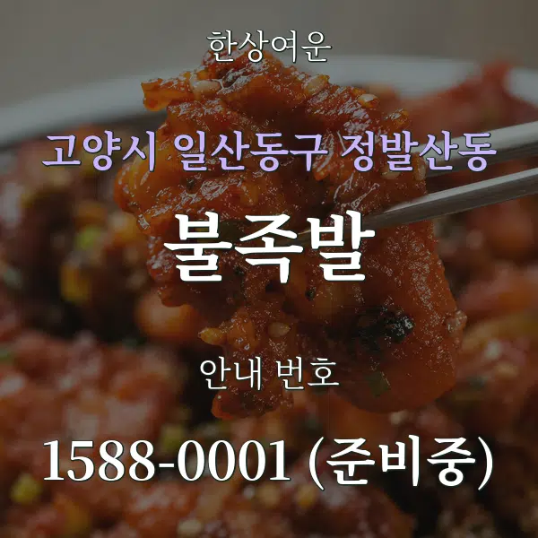 고양시 일산동구 정발산동 불족발 대표 안내 그래픽